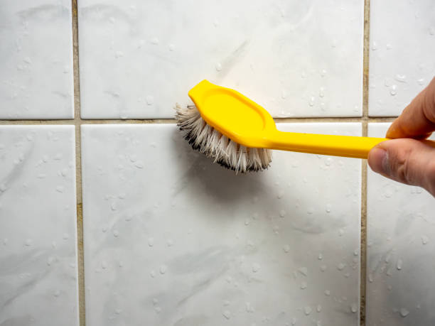 Best Emergency Mold Removal  in La Mesa, CA