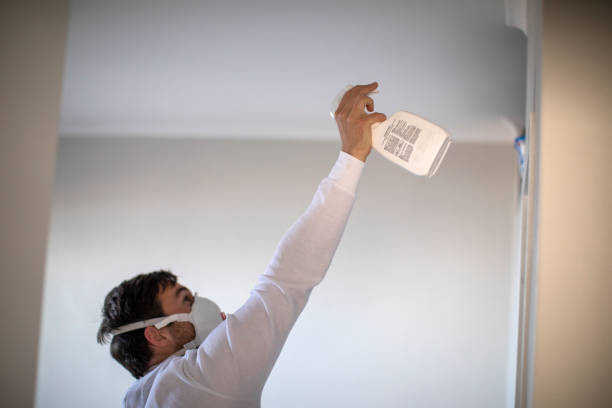 Best Same-Day Mold Removal  in La Mesa, CA