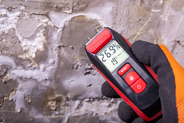 Best Best Mold Removal Companies  in La Mesa, CA