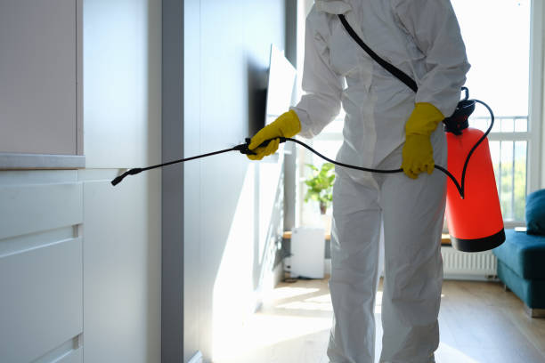 Best Mold Removal Specialists  in La Mesa, CA
