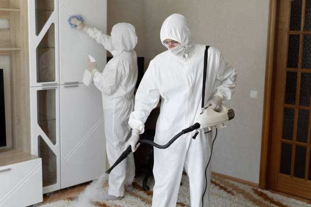 Best Certified Mold Removal  in La Mesa, CA