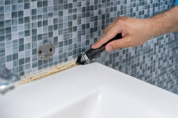 La Mesa, CA Mold Removal Company