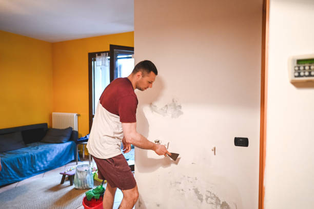 Certified Mold Removal in La Mesa, CA